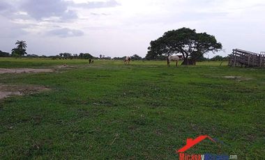 Finca en Venta en Paz de Ariporo Casanare