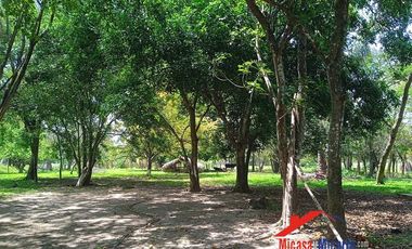 Finca en Venta en Paz de Ariporo Casanare