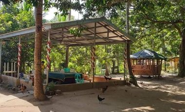 PRIVATE FARM RESORT IN HERMOSA BATAAN IDEAL FOR YOUR RETIREMENT