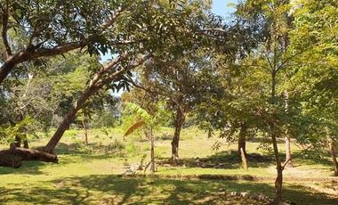 PRIVATE FARM RESORT IN HERMOSA BATAAN IDEAL FOR YOUR RETIREMENT