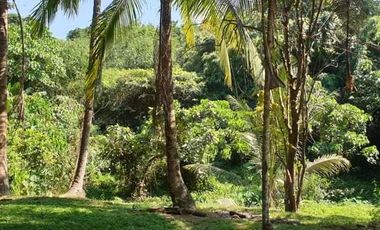 PRIVATE FARM RESORT IN HERMOSA BATAAN IDEAL FOR YOUR RETIREMENT