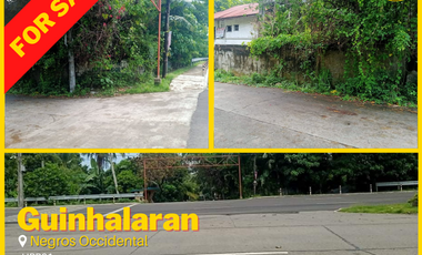 House and Lot for Sale in Negros Occidental