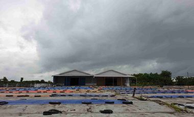 Gudang Gembong, 62271, Babat, Lamongan, East Java, Indonesia