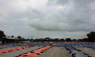 Gudang Gembong, 62271, Babat, Lamongan, East Java, Indonesia