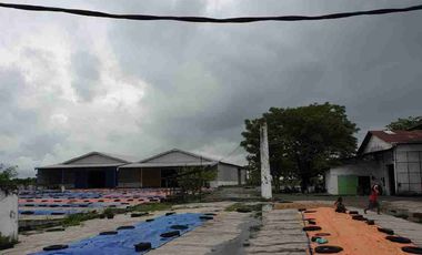 Gudang Gembong, 62271, Babat, Lamongan, East Java, Indonesia