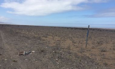 Vendo media hectarea en Llanos de Punta de Choros