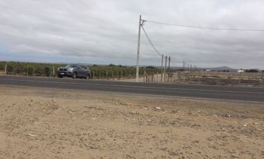 Vendo media hectarea en Llanos de Punta de Choros