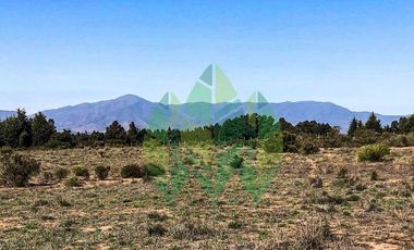 Venta de terrenos con rol propio en Puchuncaví