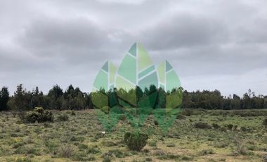Venta de terrenos con rol propio en Puchuncaví