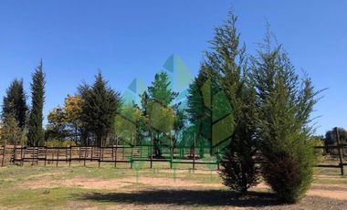 Venta de terrenos con rol propio en Puchuncaví