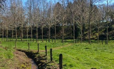 Exclusiva Parcela de 6400m2 en Condominio a sólo 15km de Valdivia en sector Cayumapu