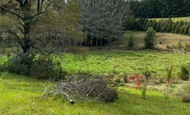 Exclusiva Parcela de 6400m2 en Condominio a sólo 15km de Valdivia en sector Cayumapu