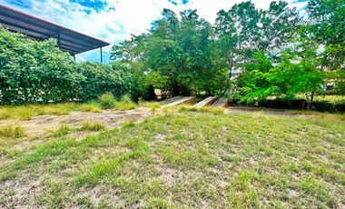 LOTE EN VENTA TIERRA GRATA MONTELIBANO CORDOBA