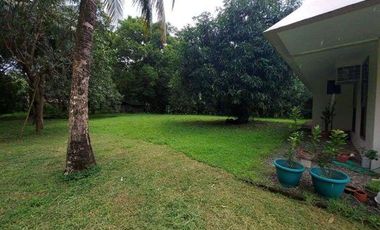 House and Lot With Commercial Property For Sale at Hermosa Bataan