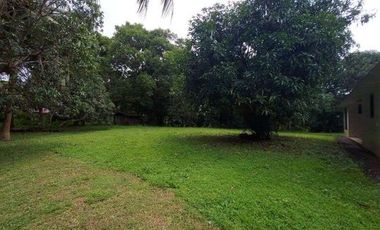 House and Lot With Commercial Property For Sale at Hermosa Bataan