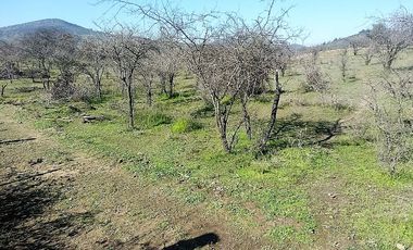 SE VENDE Parcelación de 11 hectáreas El Manzano, a 5 minutos del Lago Rapel