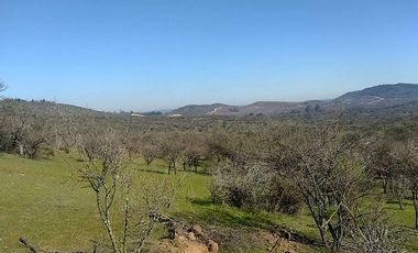 SE VENDE Parcelación de 11 hectáreas El Manzano, a 5 minutos del Lago Rapel