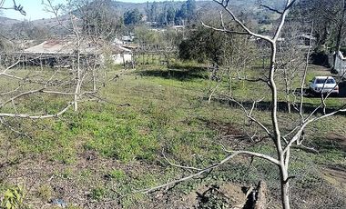 SE VENDE Parcelación de 11 hectáreas El Manzano, a 5 minutos del Lago Rapel