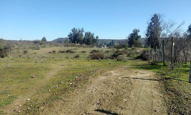 SE VENDE Parcelación de 11 hectáreas El Manzano, a 5 minutos del Lago Rapel