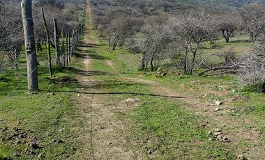 SE VENDE Parcelación de 11 hectáreas El Manzano, a 5 minutos del Lago Rapel