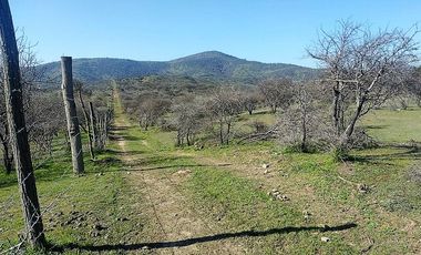 SE VENDE Parcelación de 11 hectáreas El Manzano, a 5 minutos del Lago Rapel