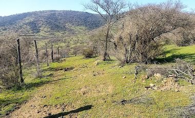 SE VENDE Parcelación de 11 hectáreas El Manzano, a 5 minutos del Lago Rapel