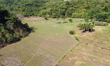 FOR SALE - Agriculutual Land at El Nido, Palawan