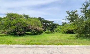 Good Deal! 1,078 sqm Big Lot for Sale in Lemery, Batangas at Leisure Farms