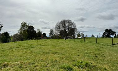 Vendo Hermosas parcelas de 5.000 M2 En Lago Ranco