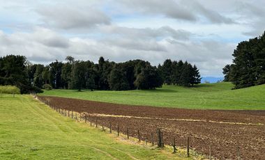 Vendo Hermosas parcelas de 5.000 M2 En Lago Ranco