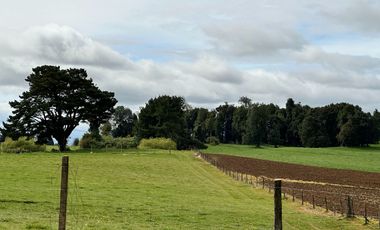 Vendo Hermosas parcelas de 5.000 M2 En Lago Ranco