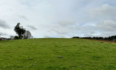 Vendo Hermosas parcelas de 5.000 M2 En Lago Ranco