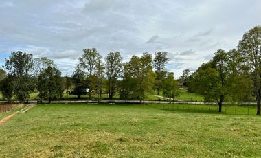 Vendo Hermosas parcelas de 5.000 M2 En Lago Ranco