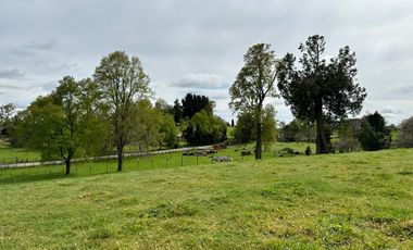 Vendo Hermosas parcelas de 5.000 M2 En Lago Ranco