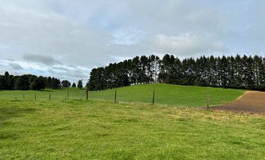 Vendo Hermosas parcelas de 5.000 M2 En Lago Ranco