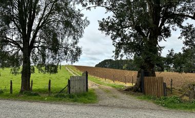 Vendo Hermosas parcelas de 5.000 M2 En Lago Ranco