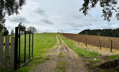 Vendo Hermosas parcelas de 5.000 M2 En Lago Ranco