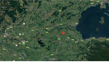 Vendo Hermosas parcelas de 5.000 M2 En Lago Ranco