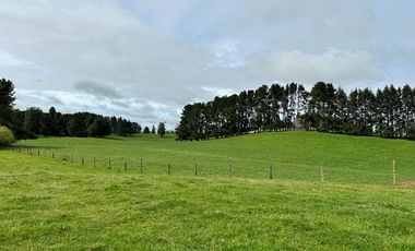 Vendo Hermosas parcelas de 5.000 M2 En Lago Ranco