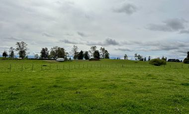 Vendo Hermosas parcelas de 5.000 M2 En Lago Ranco