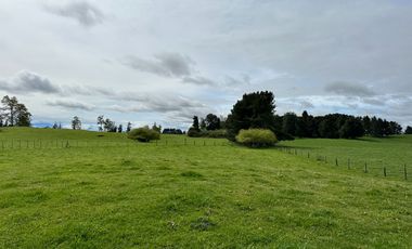 Vendo Hermosas parcelas de 5.000 M2 En Lago Ranco