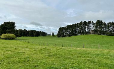 Vendo Hermosas parcelas de 5.000 M2 En Lago Ranco