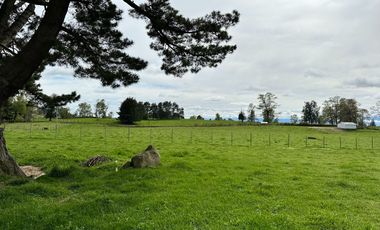 Vendo Hermosas parcelas de 5.000 M2 En Lago Ranco