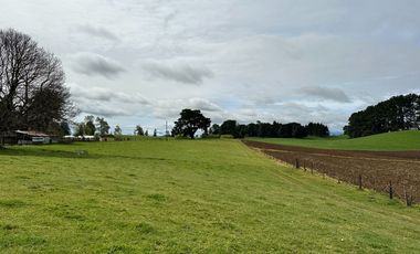 Vendo Hermosas parcelas de 5.000 M2 En Lago Ranco