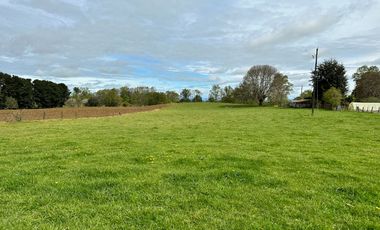 Vendo Hermosas parcelas de 5.000 M2 En Lago Ranco