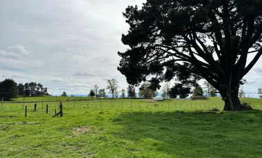 Vendo Hermosas parcelas de 5.000 M2 En Lago Ranco