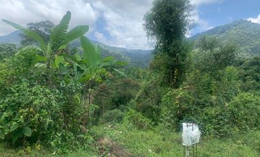 Oportunidad Finca de 15,5 há, Nanegal $ 160.000