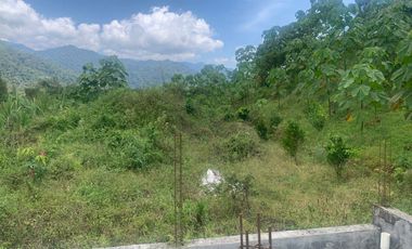 Oportunidad Finca de 15,5 há, Nanegal $ 160.000