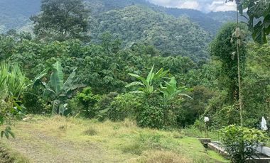 Oportunidad Finca de 15,5 há, Nanegal $ 160.000