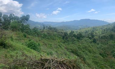 Oportunidad Finca de 15,5 há, Nanegal $ 160.000